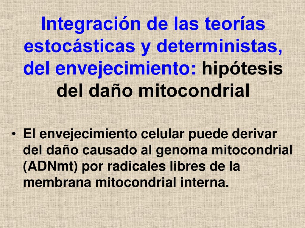 Integración de las teorías estocásticas y deterministas, del envejecimiento: hipótesis del daño mitocondrial