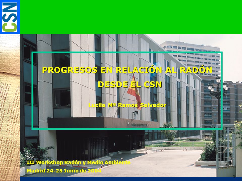 PROGRESOS EN RELACIÓN AL RADÓN Lucila Mª Ramos Salvador