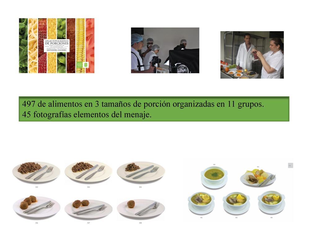 497 de alimentos en 3 tamaños de porción organizadas en 11 grupos.