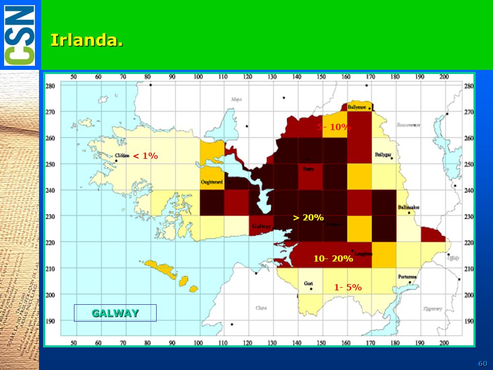 Irlanda % < 1% > 20% % 1- 5% GALWAY 60