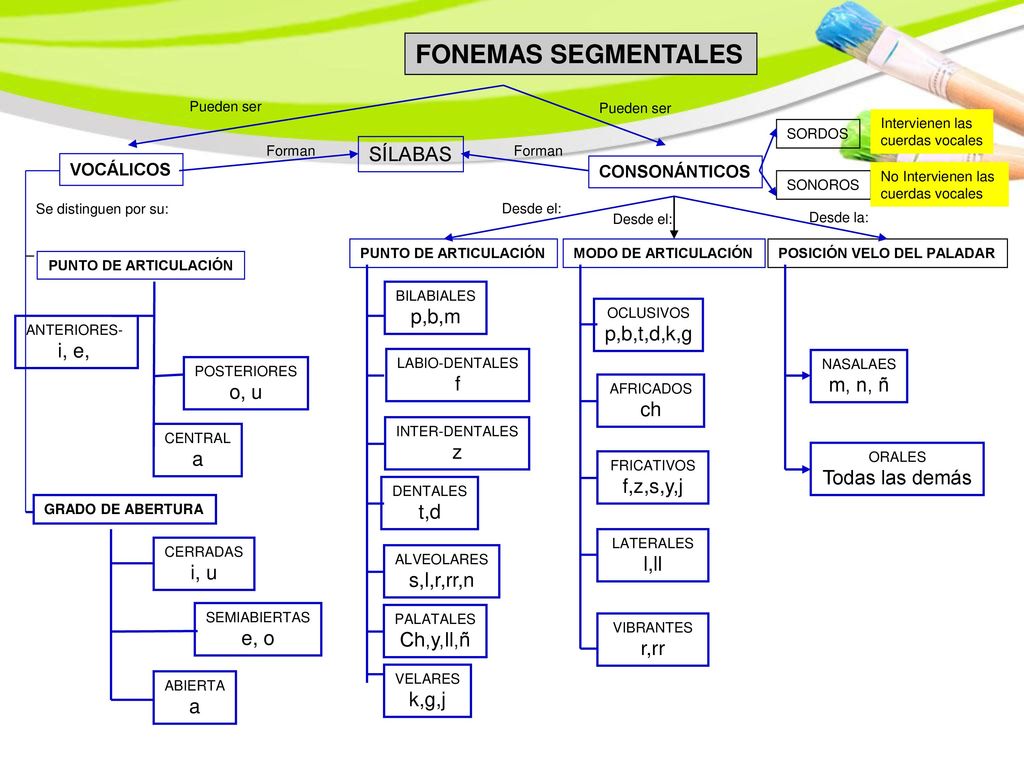 FONEMAS SEGMENTALES SÍLABAS p,b,m p,b,t,d,k,g i, e, f m, n, ñ o, u ch