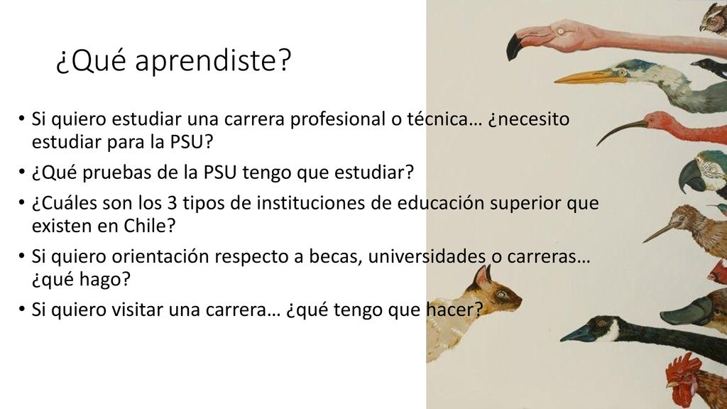 ¿Qué aprendiste Si quiero estudiar una carrera profesional o técnica… ¿necesito estudiar para la PSU