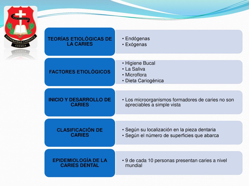 TEORÍAS ETIOLÓGICAS DE LA CARIES Higiene Bucal La Saliva Microflora