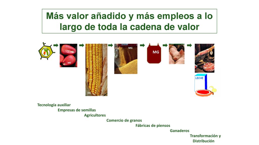 Más valor añadido y más empleos a lo largo de toda la cadena de valor