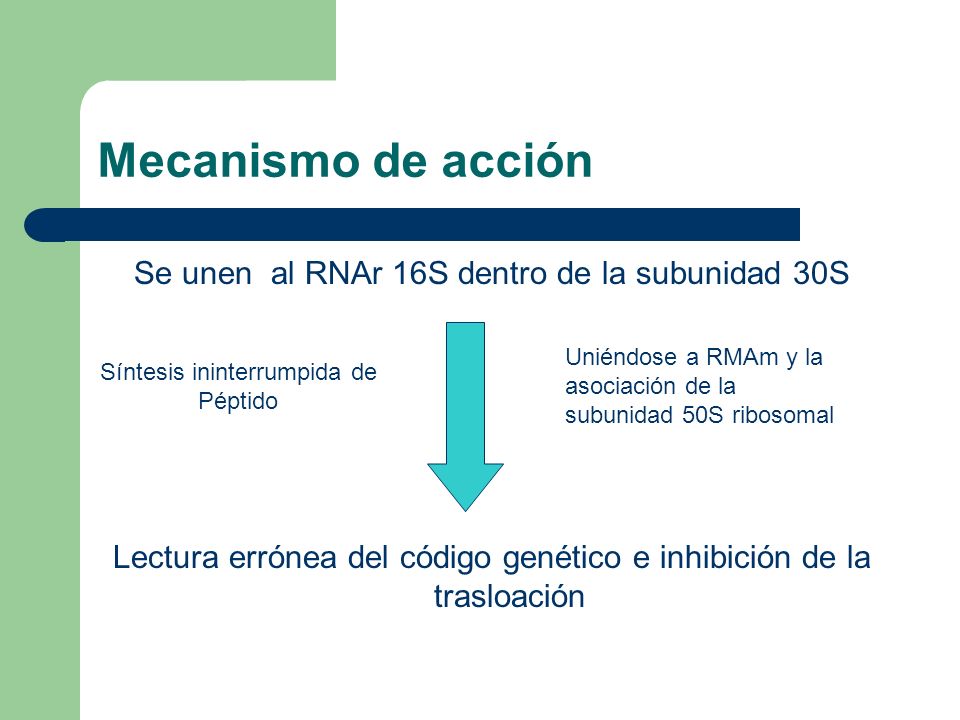 Mecanismo de acción Se unen al RNAr 16S dentro de la subunidad 30S