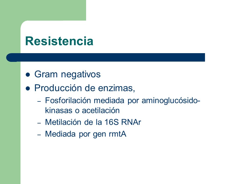 Resistencia Gram negativos Producción de enzimas,