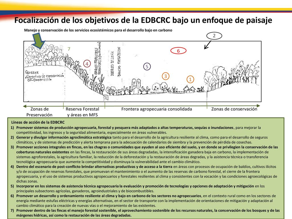 Focalización de los objetivos de la EDBCRC bajo un enfoque de paisaje