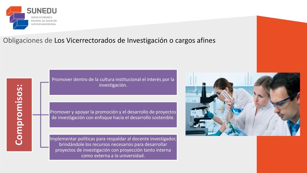 Obligaciones de Los Vicerrectorados de Investigación o cargos afines