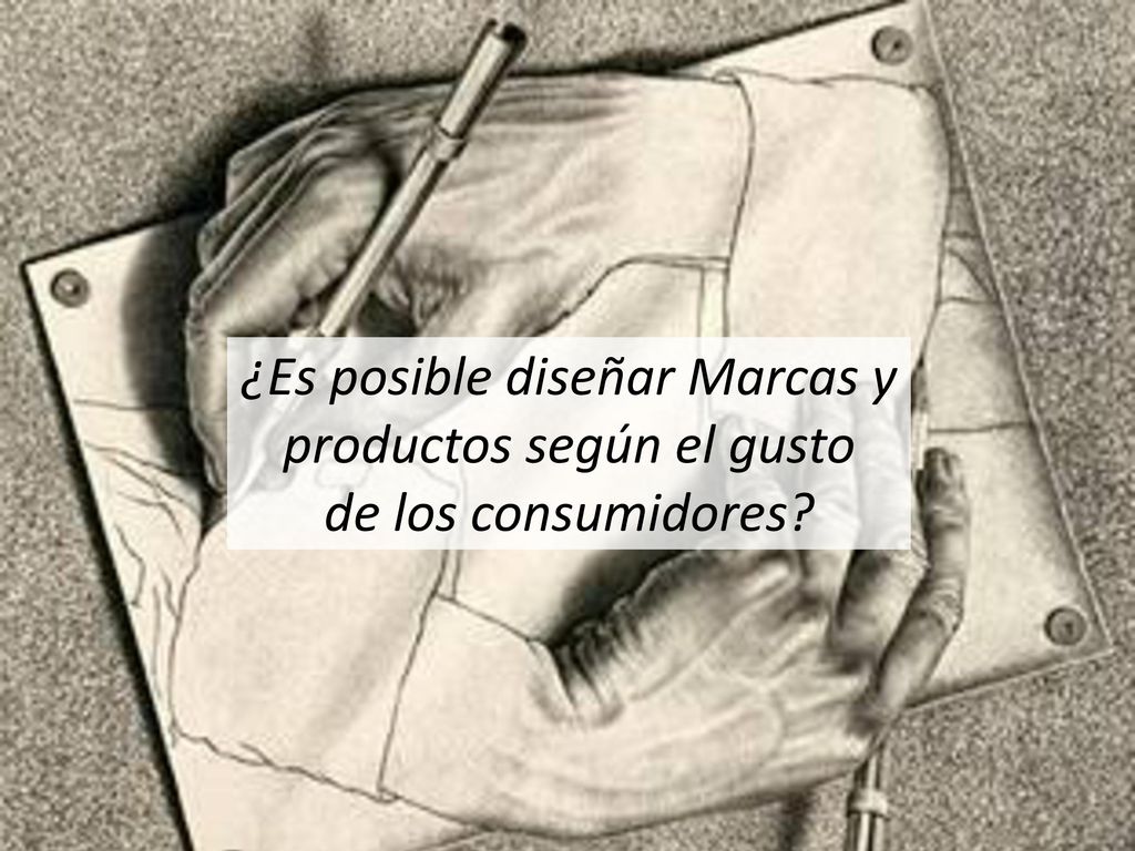 ¿Es posible diseñar Marcas y productos según el gusto de los consumidores