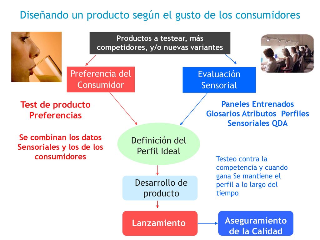 Diseñando un producto según el gusto de los consumidores