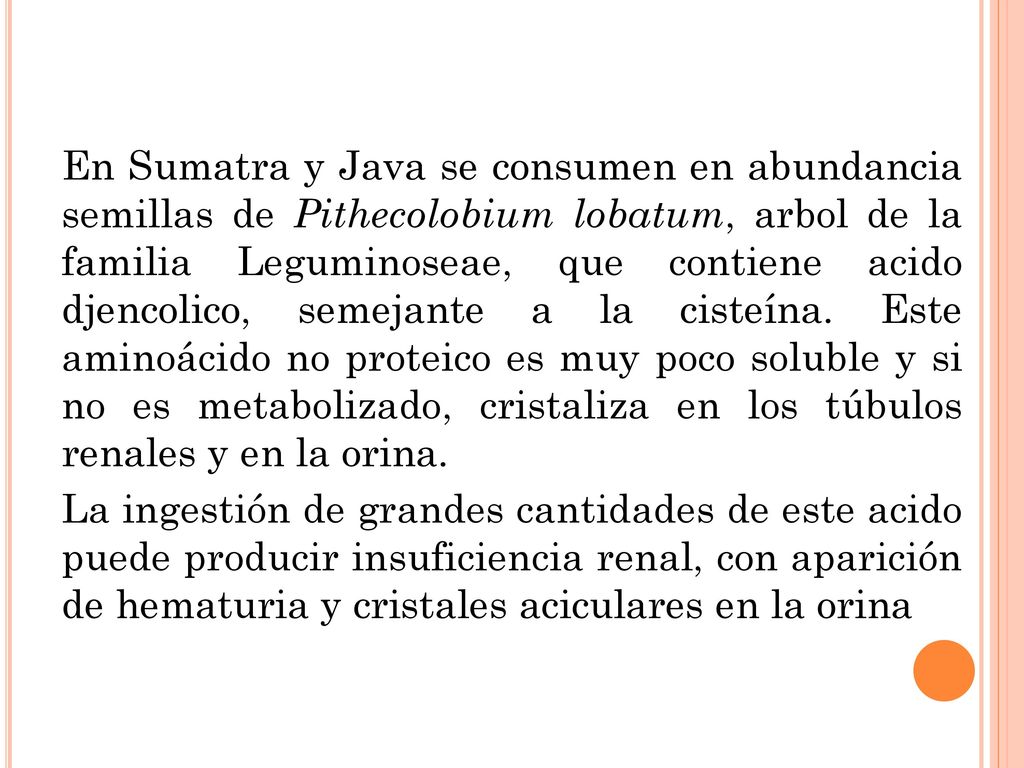 En Sumatra y Java se consumen en abundancia semillas de Pithecolobium lobatum, arbol de la familia Leguminoseae, que contiene acido djencolico, semejante a la cisteína.