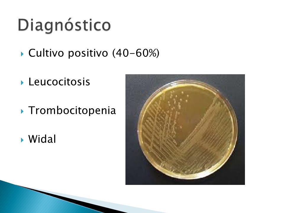 Diagnóstico Cultivo positivo (40-60%) Leucocitosis Trombocitopenia