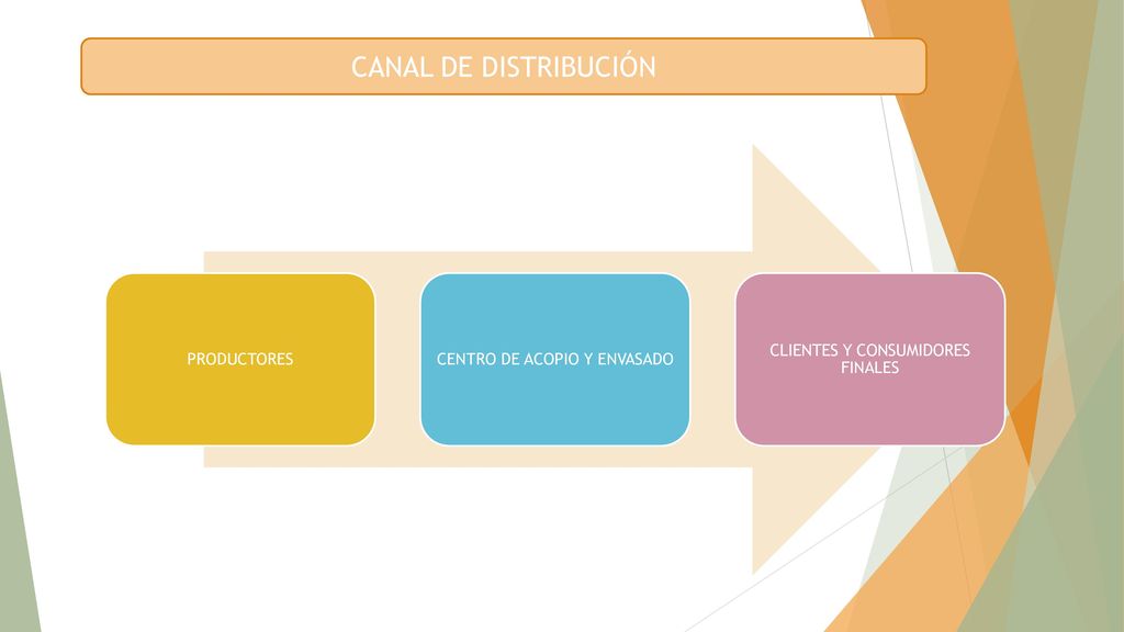CANAL DE DISTRIBUCIÓN PRODUCTORES CENTRO DE ACOPIO Y ENVASADO