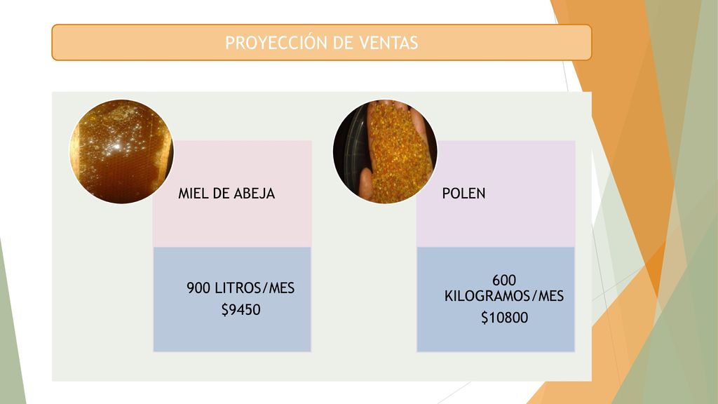 PROYECCIÓN DE VENTAS MIEL DE ABEJA 900 LITROS/MES $9450 POLEN