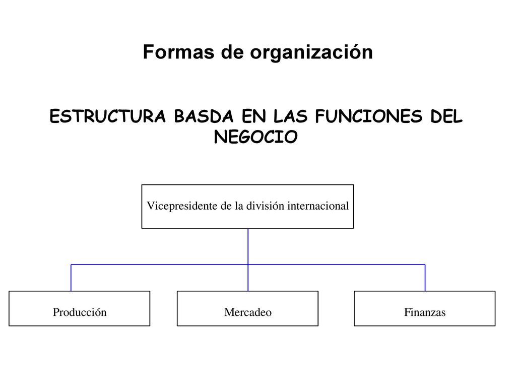 Formas de organización