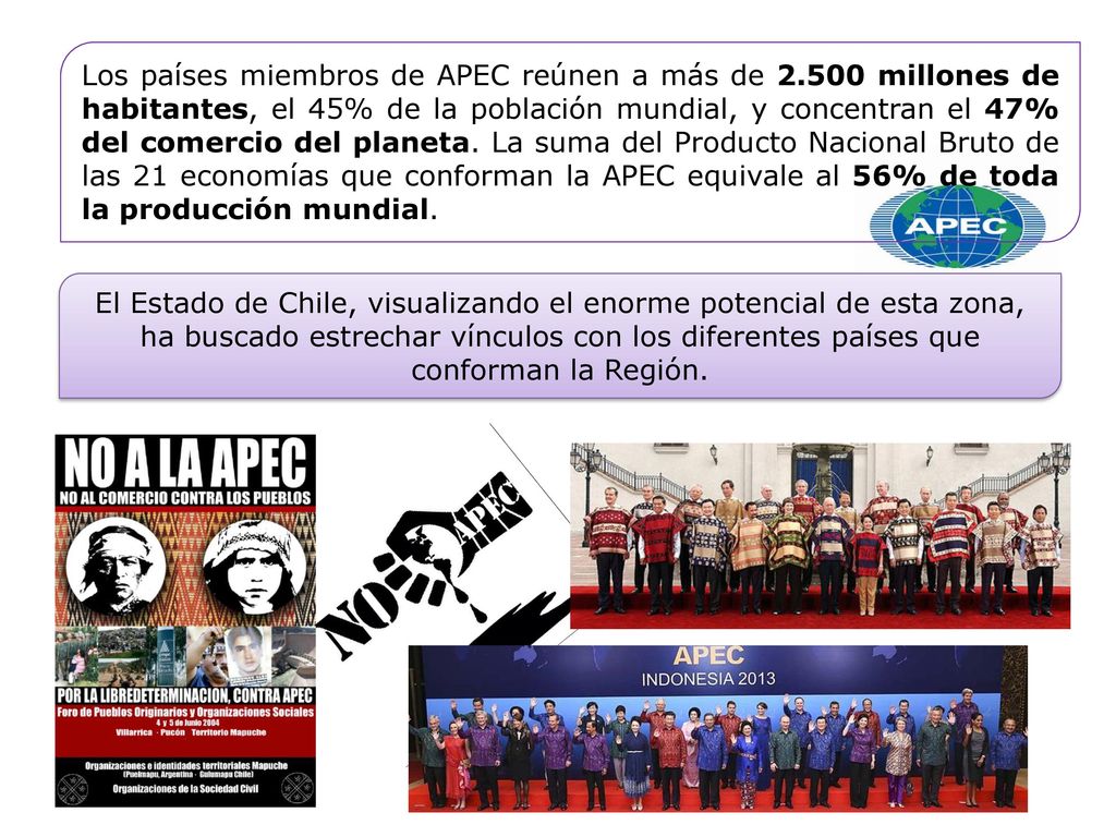 La APEC tiene 21 países miembros, con diversos niveles de desarrollo económico, entre los más desarrollados se cuenta a Estados Unidos, Canadá, Japón, Australia y Singapur; otros con economías emergentes como China, Corea del Sur, Rusia, Malasia, México, Perú y Chile, y también Estados con economías más débiles, pero con importantes índices de crecimiento económico, como Indonesia, Vietnam y Filipinas. Así mismo en términos políticos congrega a países con sólidas tradiciones democráticas con otros en que aún persisten regímenes autoritarios como China.