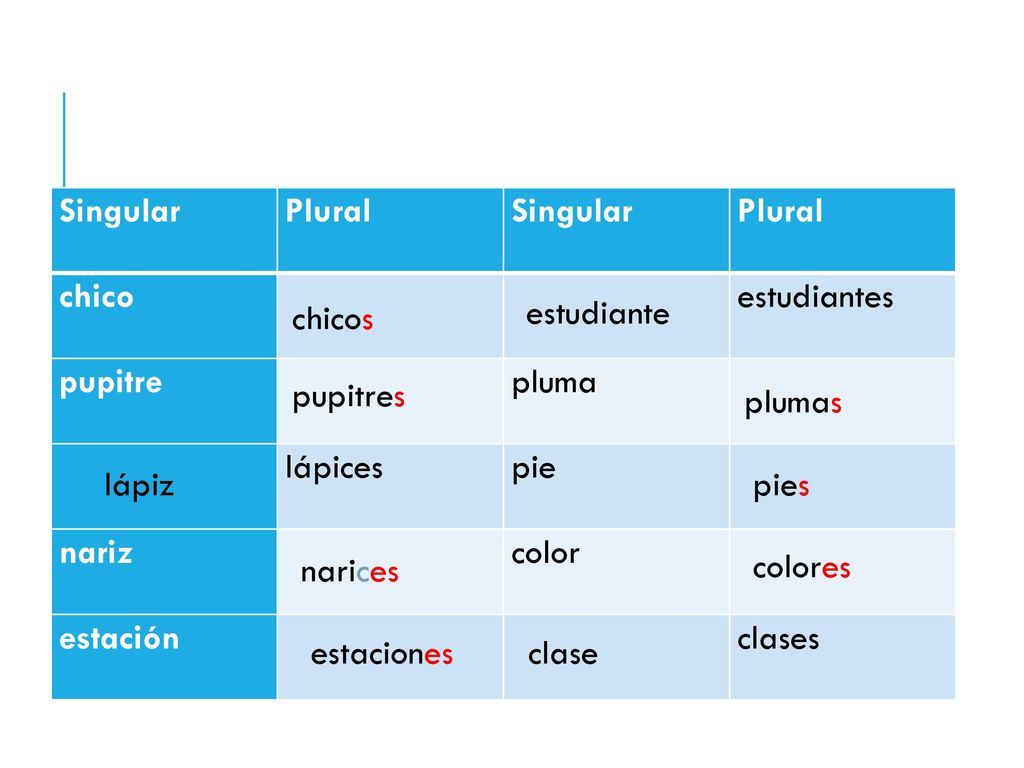 Singular Plural. chico. estudiantes. pupitre. pluma. lápices. pie. nariz. color. estación.