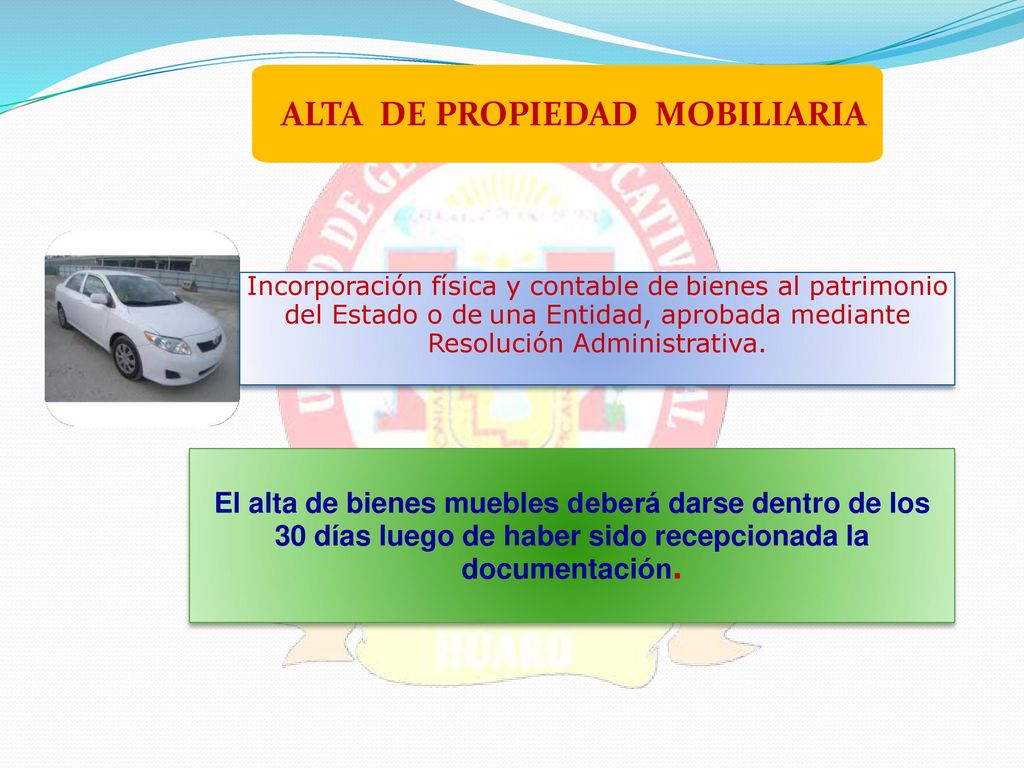 El alta de bienes muebles deberá darse dentro de los