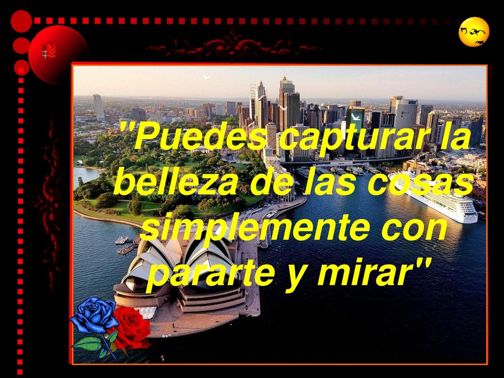 Puedes capturar la belleza de las cosas simplemente con pararte y mirar