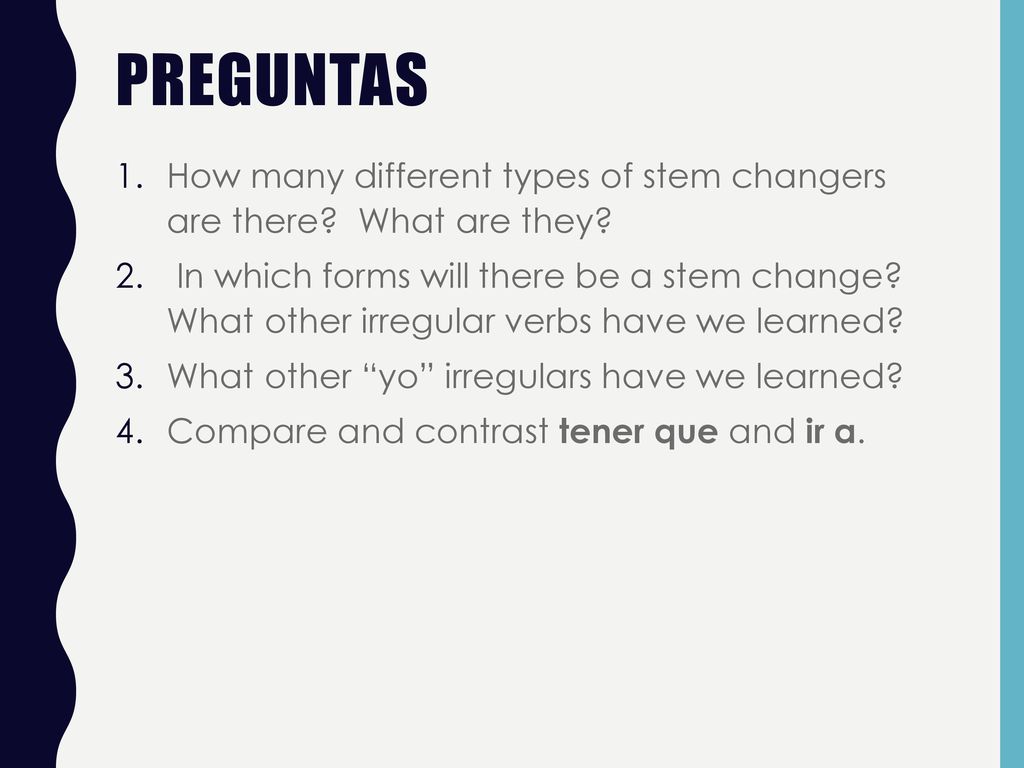 PREGUNTAS How many different types of stem changers are there What are they