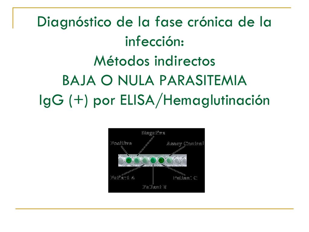 Diagnóstico de la fase crónica de la infección: Métodos indirectos BAJA O NULA PARASITEMIA IgG (+) por ELISA/Hemaglutinación
