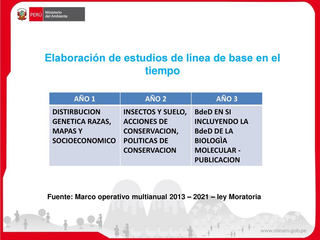 Elaboración de estudios de línea de base en el tiempo