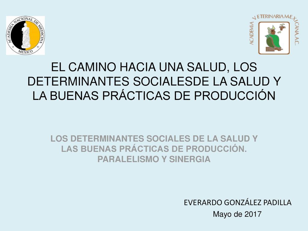 EL CAMINO HACIA UNA SALUD, LOS DETERMINANTES SOCIALESDE LA SALUD Y LA BUENAS PRÁCTICAS DE PRODUCCIÓN