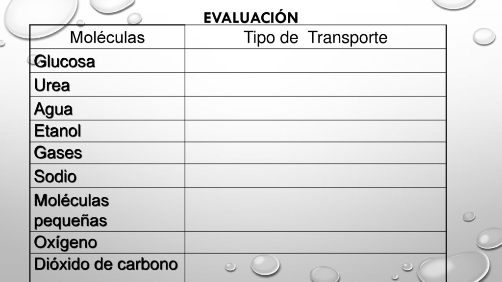 Evaluación Moléculas. Tipo de Transporte. Glucosa. Urea. Agua. Etanol. Gases. Sodio. Moléculas pequeñas.
