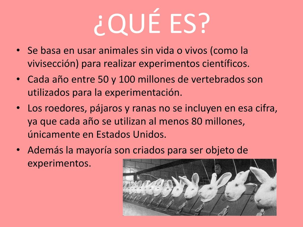 ¿QUÉ ES Se basa en usar animales sin vida o vivos (como la vivisección) para realizar experimentos científicos.