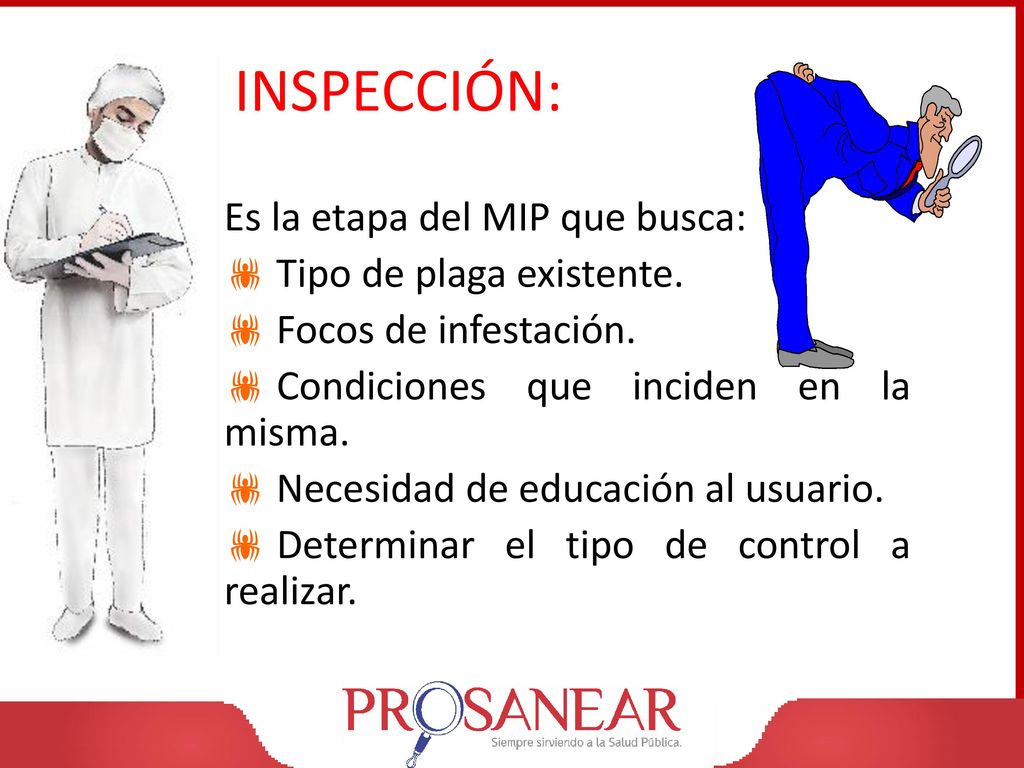 INSPECCIÓN: Es la etapa del MIP que busca: Tipo de plaga existente.