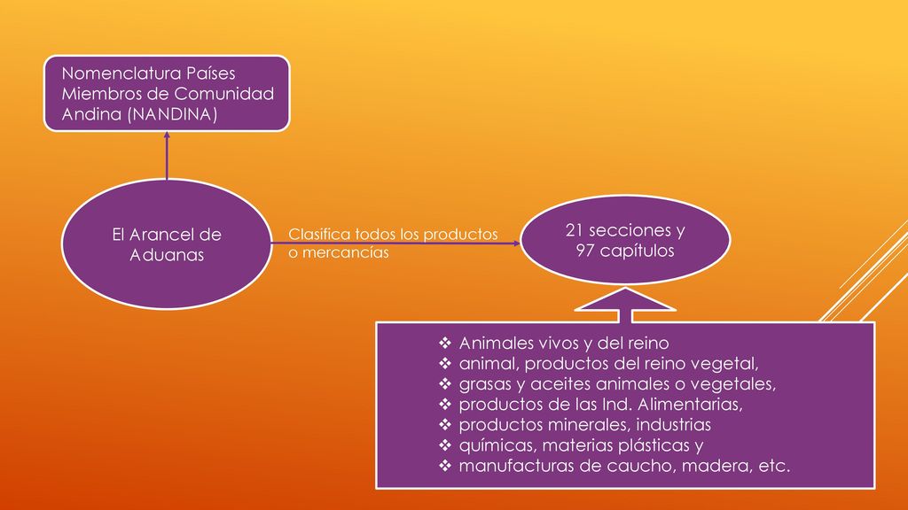 Animales vivos y del reino animal, productos del reino vegetal,