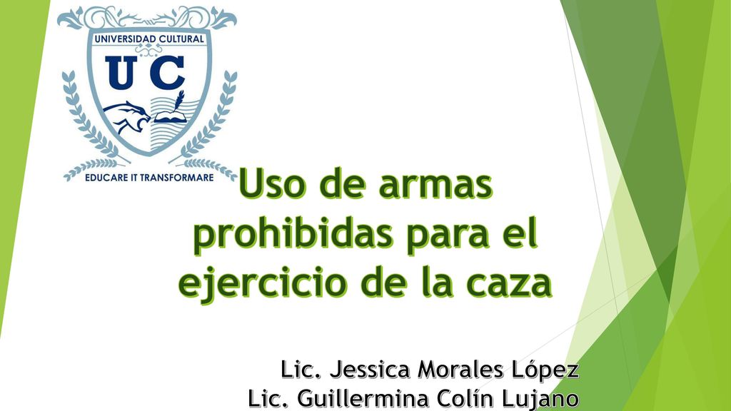 Uso de armas prohibidas para el ejercicio de la caza