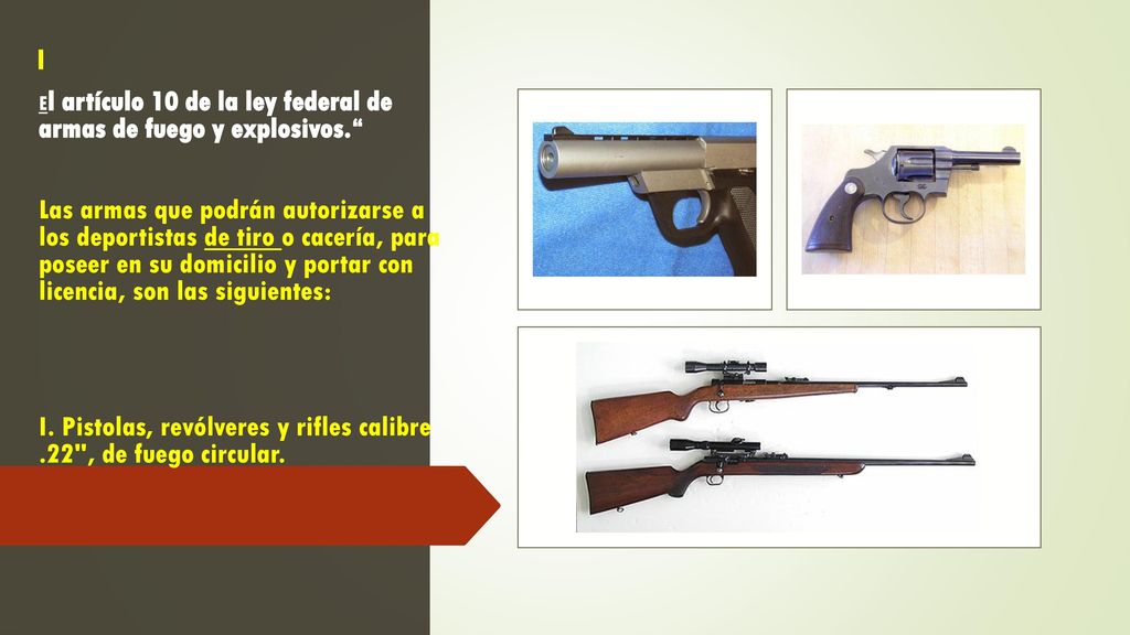 El artículo 10 de la ley federal de armas de fuego y explosivos