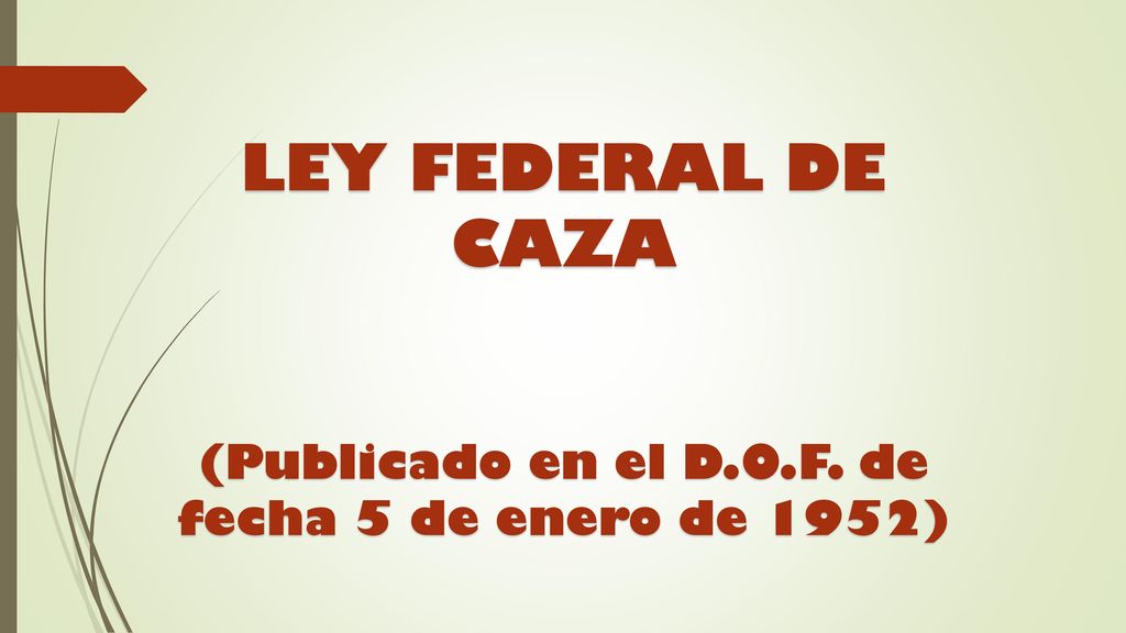 (Publicado en el D.O.F. de fecha 5 de enero de 1952)