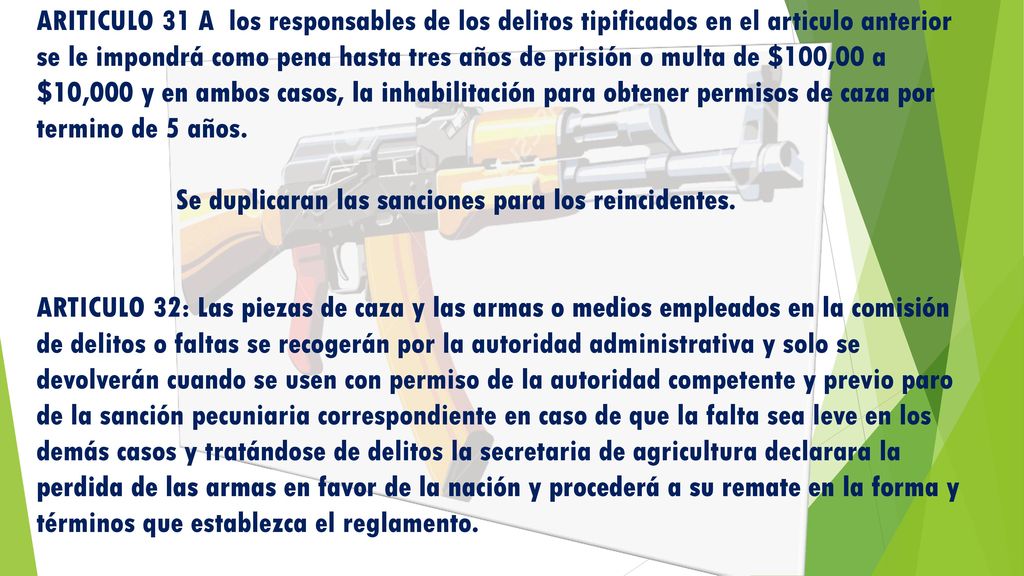 ARITICULO 31 A los responsables de los delitos tipificados en el articulo anterior se le impondrá como pena hasta tres años de prisión o multa de $100,00 a $10,000 y en ambos casos, la inhabilitación para obtener permisos de caza por termino de 5 años.