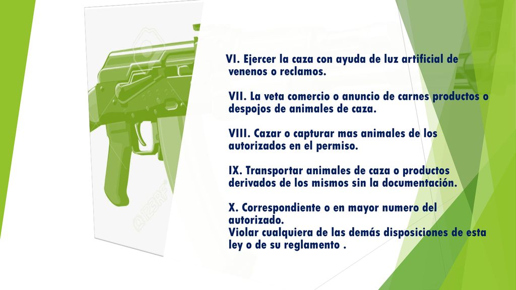 VI. Ejercer la caza con ayuda de luz artificial de venenos o reclamos