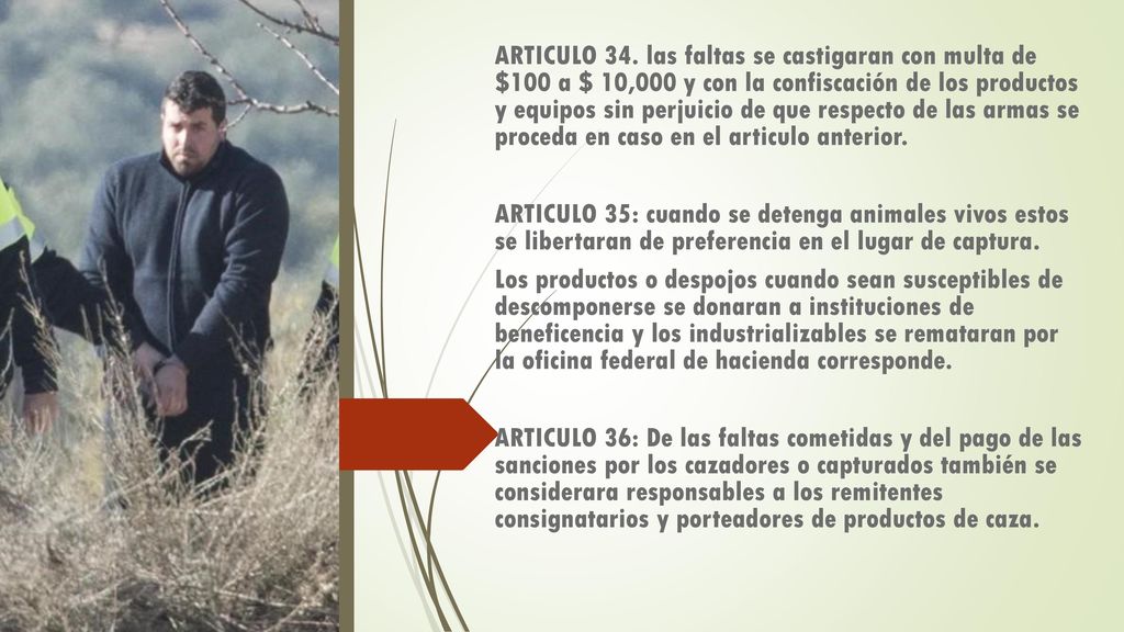 ARTICULO 34. las faltas se castigaran con multa de $100 a $ 10,000 y con la confiscación de los productos y equipos sin perjuicio de que respecto de las armas se proceda en caso en el articulo anterior.