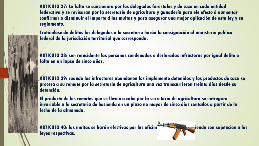 ARTICULO 37: La falta se sancionara por los delegados forestales y de caza en cada entidad federativa y se revisaran por la secretaria de agricultura y ganadería para ele efecto d aumentar confirmar o disminuir el importe d las multas y para asegurar una mejor aplicación de esta ley y su reglamento.