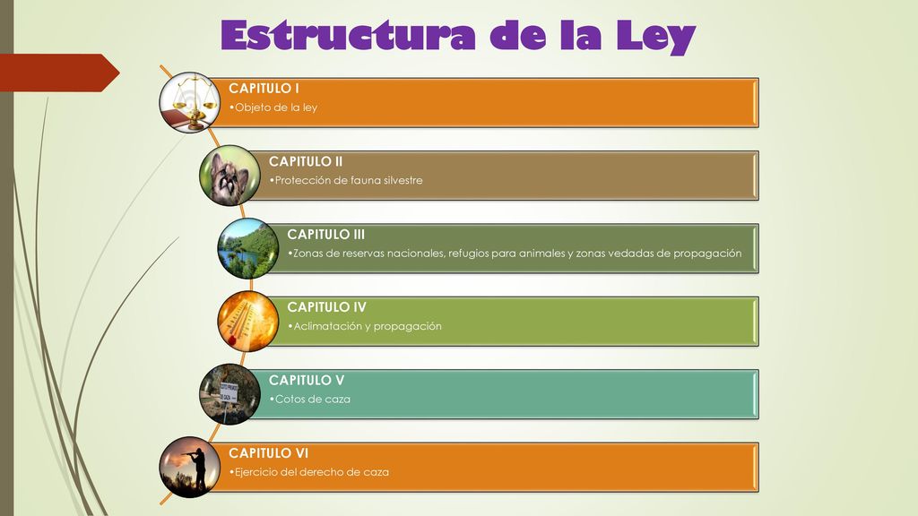 Estructura de la Ley CAPITULO I CAPITULO II CAPITULO III CAPITULO IV