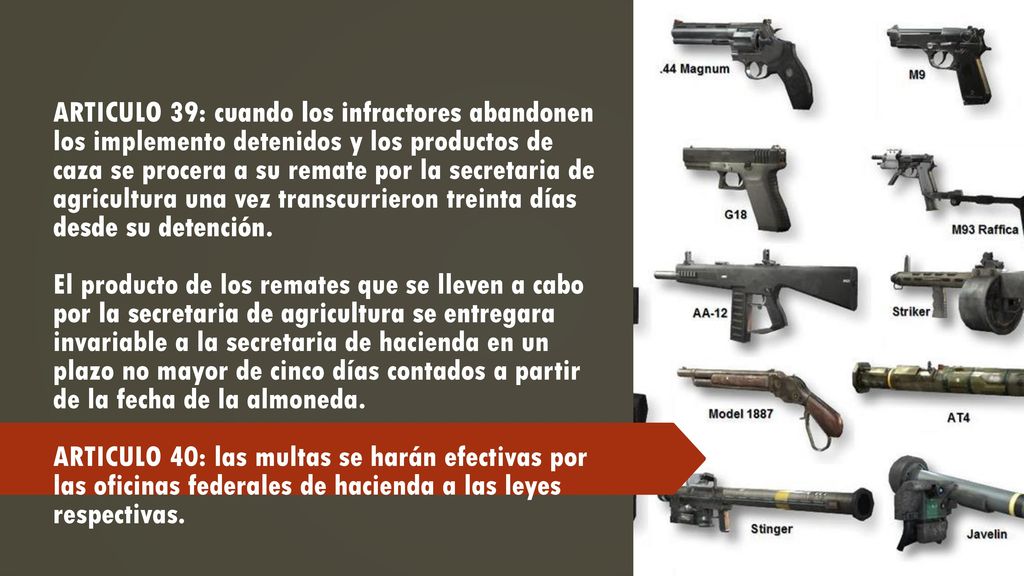 ARTICULO 39: cuando los infractores abandonen los implemento detenidos y los productos de caza se procera a su remate por la secretaria de agricultura una vez transcurrieron treinta días desde su detención.