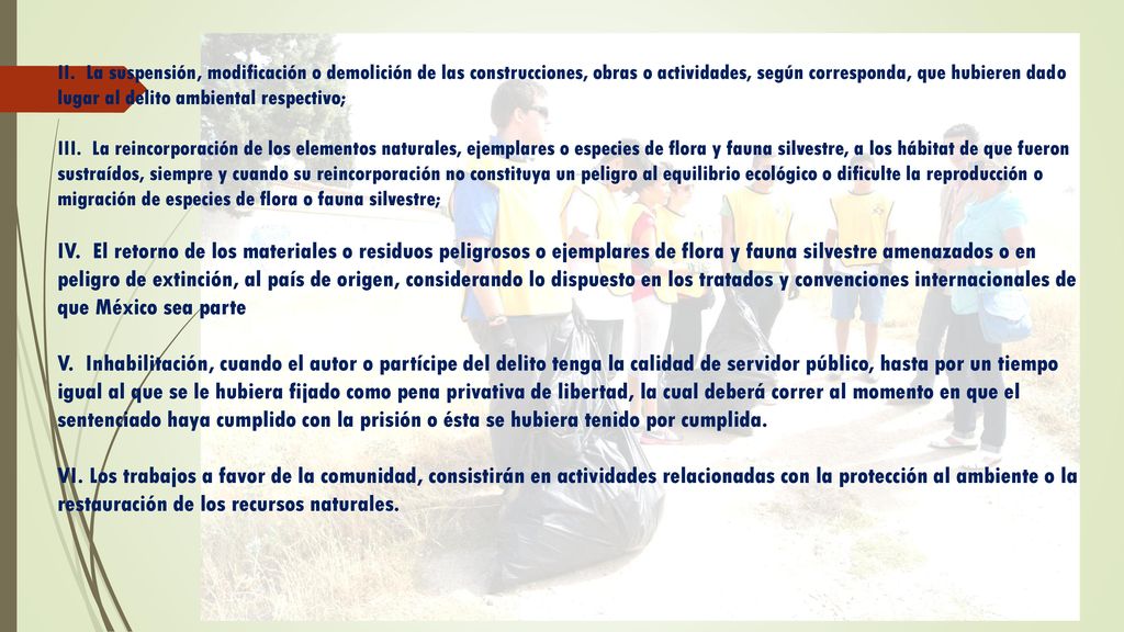 II. La suspensión, modificación o demolición de las construcciones, obras o actividades, según corresponda, que hubieren dado lugar al delito ambiental respectivo;
