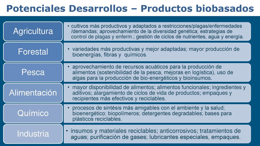 Potenciales Desarrollos – Productos biobasados
