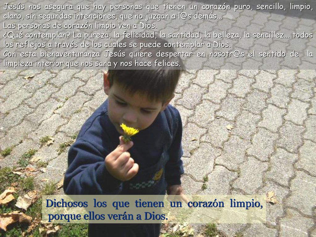 Dichosos los que tienen un corazón limpio, porque ellos verán a Dios.