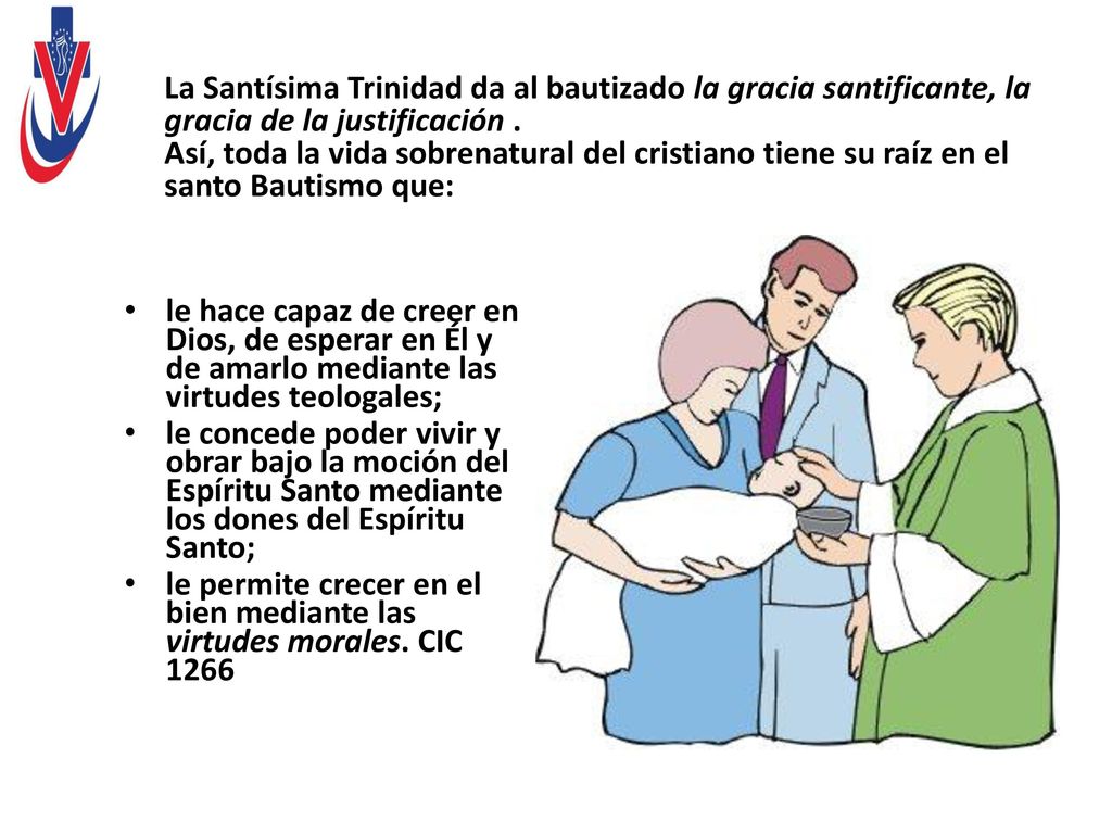 La Santísima Trinidad da al bautizado la gracia santificante, la gracia de la justificación . Así, toda la vida sobrenatural del cristiano tiene su raíz en el santo Bautismo que: