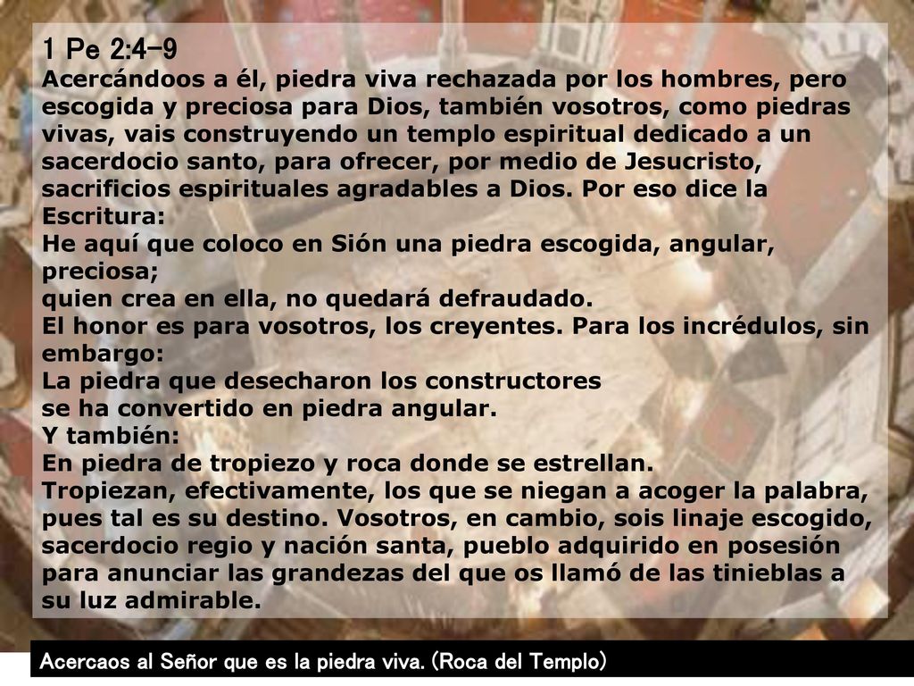 1 Pe 2:4-9 Acercándoos a él, piedra viva rechazada por los hombres, pero escogida y preciosa para Dios, también vosotros, como piedras vivas, vais construyendo un templo espiritual dedicado a un sacerdocio santo, para ofrecer, por medio de Jesucristo, sacrificios espirituales agradables a Dios. Por eso dice la Escritura: He aquí que coloco en Sión una piedra escogida, angular, preciosa; quien crea en ella, no quedará defraudado. El honor es para vosotros, los creyentes. Para los incrédulos, sin embargo: La piedra que desecharon los constructores se ha convertido en piedra angular. Y también:
