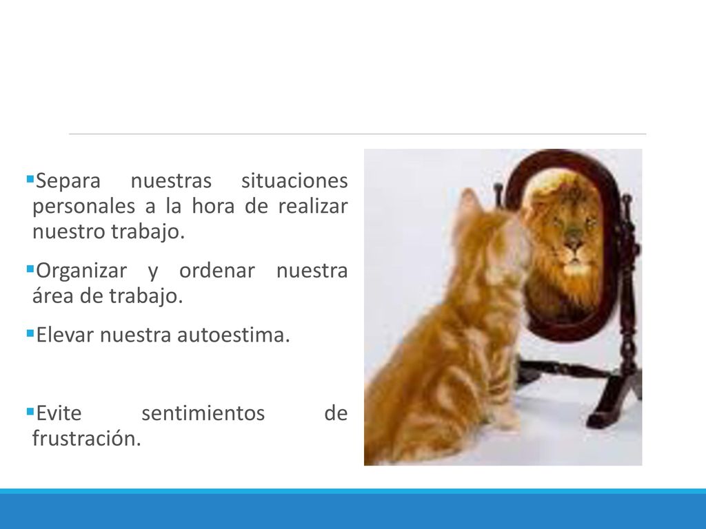 Separa nuestras situaciones personales a la hora de realizar nuestro trabajo.