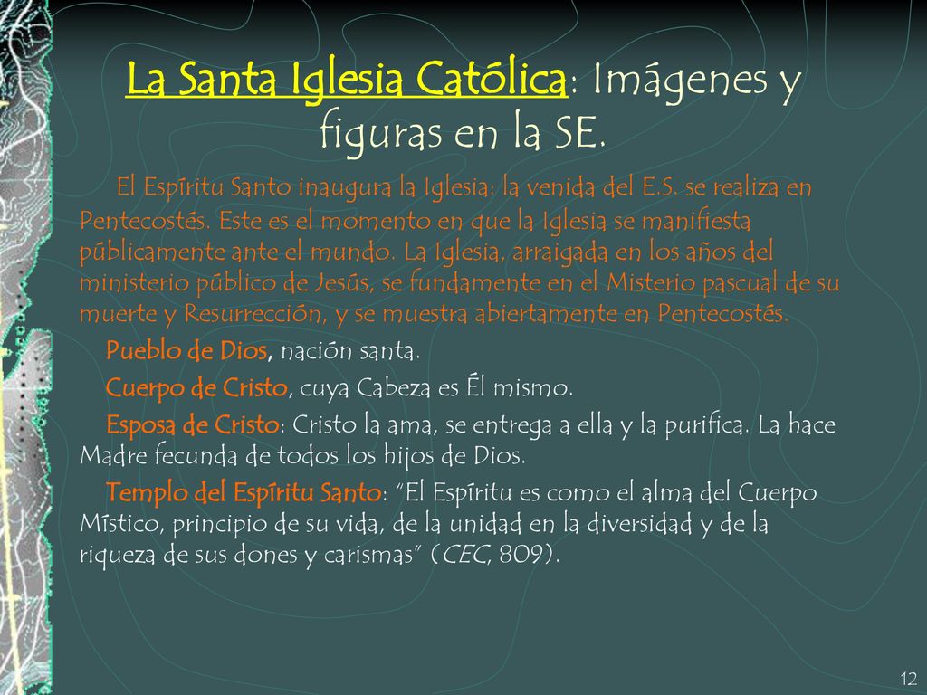La Santa Iglesia Católica: Imágenes y figuras en la SE.
