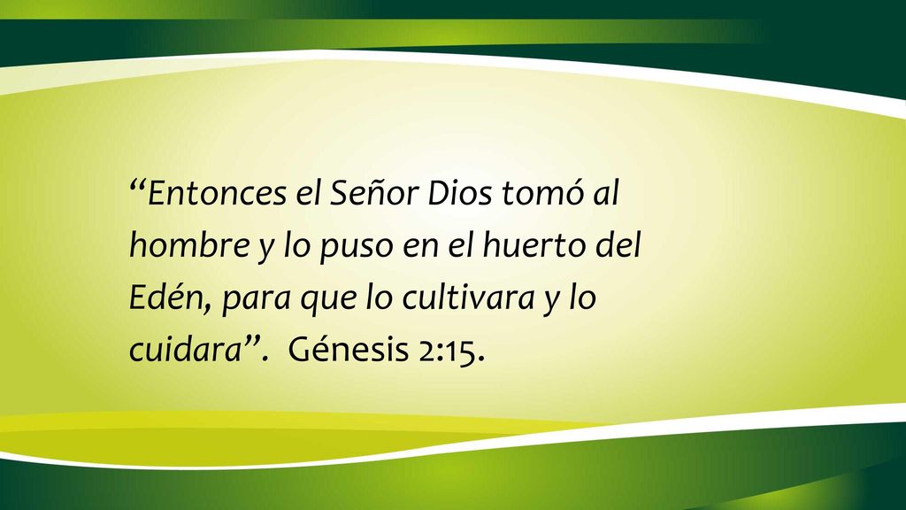 Entonces el Señor Dios tomó al hombre y lo puso en el huerto del Edén, para que lo cultivara y lo cuidara .
