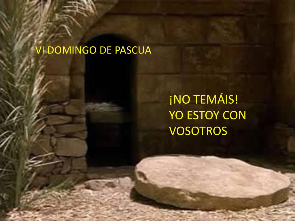 ¡Da vida! ¡Disfruta de la vida! ¡NO TEMÁIS! YO ESTOY CON VOSOTROS
