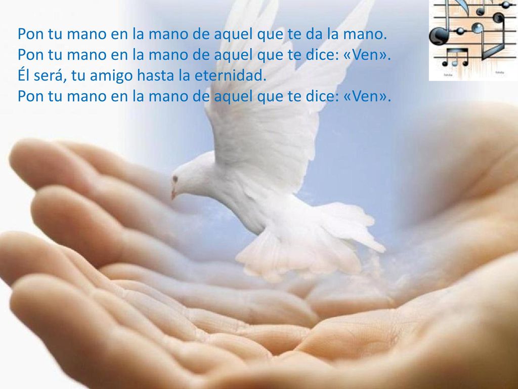 Pon tu mano en la mano de aquel que te da la mano